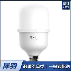 公牛设备照明灯泡100W