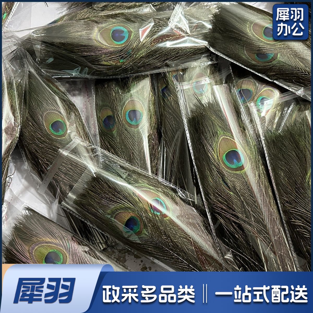 厂家供应25-130厘米孔雀毛大眼睛羽毛插花瓶花耳环饰品孔雀羽毛扇（60-70cm）