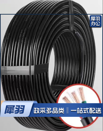 国标线2.5双芯电线