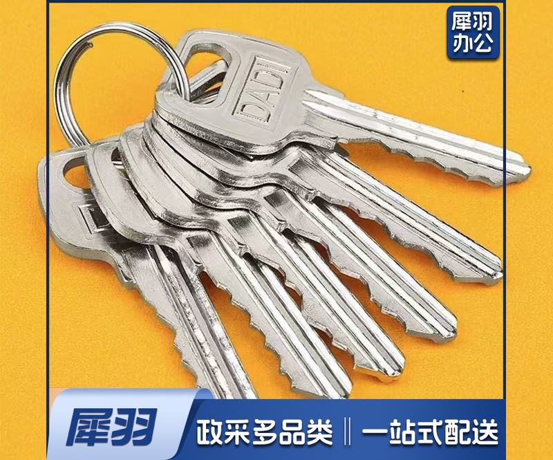 钥匙 锁钥匙(十个起拍)