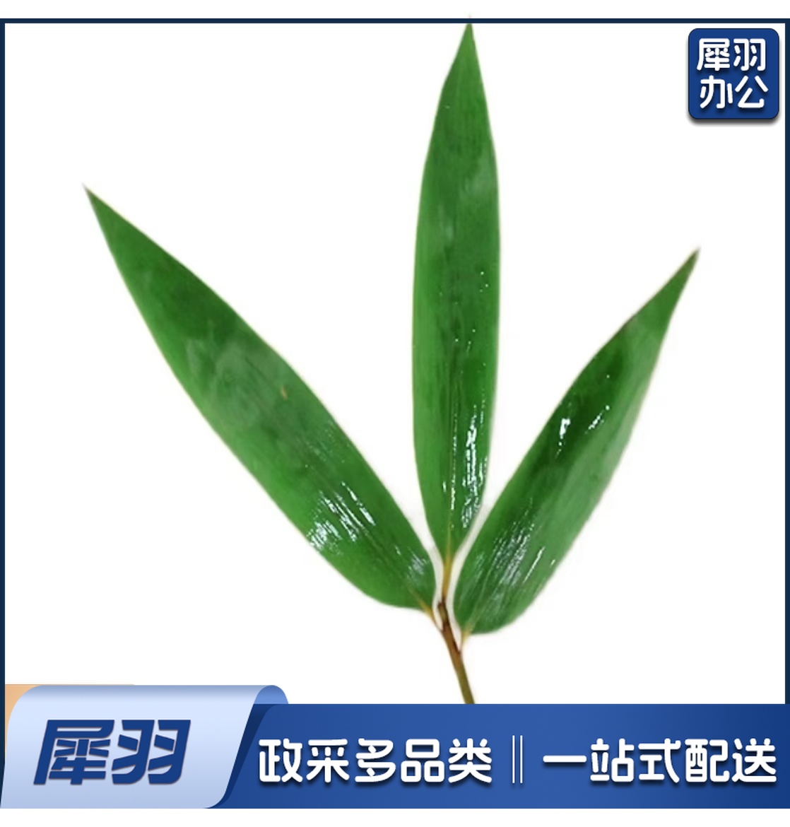 酒店西餐花草摆盘凤尾竹叶(100片/包 )