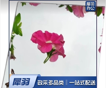 装饰镜子 590*330 (尺寸订购前确认，50张起订)