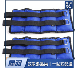 沙袋绑腿男女跑步绑手负重瑜伽健身运动舞蹈训练儿童学生跑步沙袋2kg (两只装)每只1kg