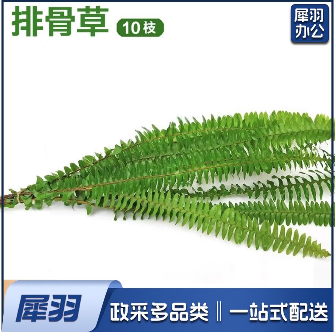 酒店西餐花草摆盘排骨草(10片/包 )