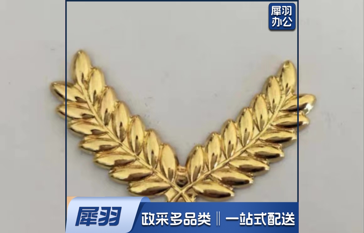 胸标定做金属胸标国旗班胸标