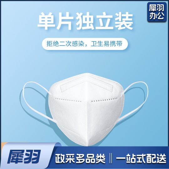 N95口罩 独立包装