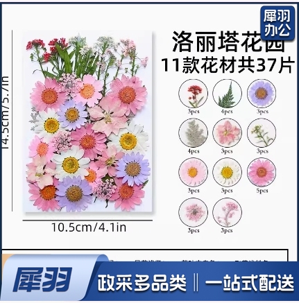 干花diy材料压花书签押花画满天星玫瑰真树叶植物标本滴胶