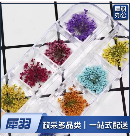 钻石滴胶12色干花包