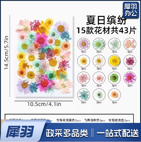 干花diy材料压花书签押花画满天星玫瑰真树叶植物标本夏日缤纷(约40片)滴胶