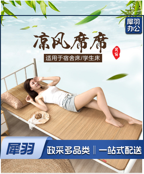 学生凉席竹席 双面竹藤凉席宿舍单人0.9米床上下铺空调席子 90*190cm(不含枕套) 简约席