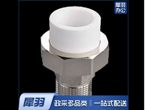 外丝活接4分（10个起售）