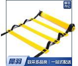 N105 FN076型6米12节步伐训练梯-带包