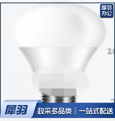 LED灯泡（10个起售）