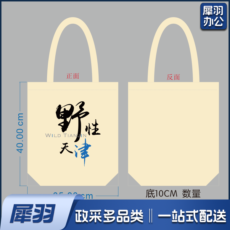 帆布袋，白色，含拉链 （100个起订）