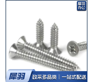 5*50 不锈钢螺丝