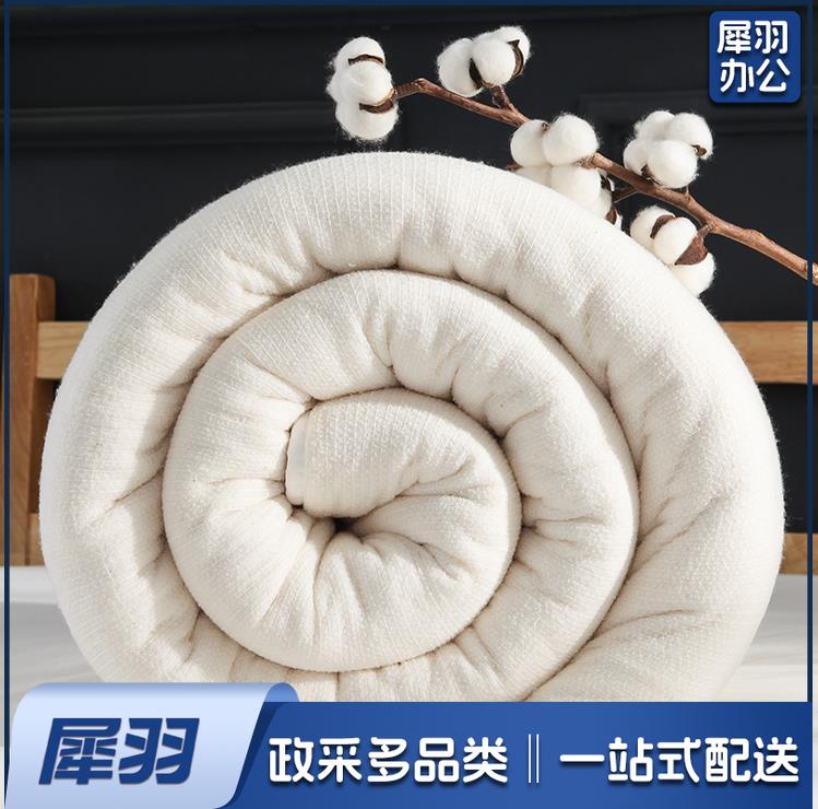 棉花被5斤纯棉被芯加大被子被褥春秋被四季盖被