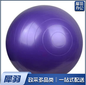 加厚防爆瑜伽球5个一组
