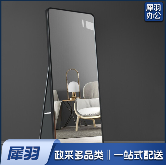 穿衣镜  落地镜 货号：LJ