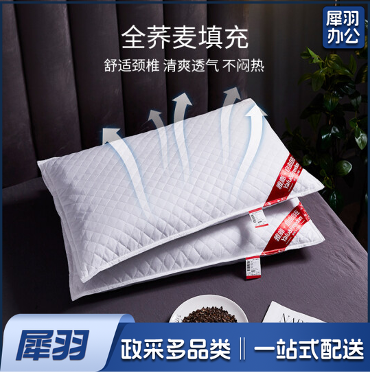 荞麦皮枕头（10个起售）