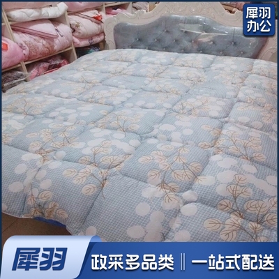 羽丝绒  被子  160*210  冬季 羽丝绵被（颜色随机发送）