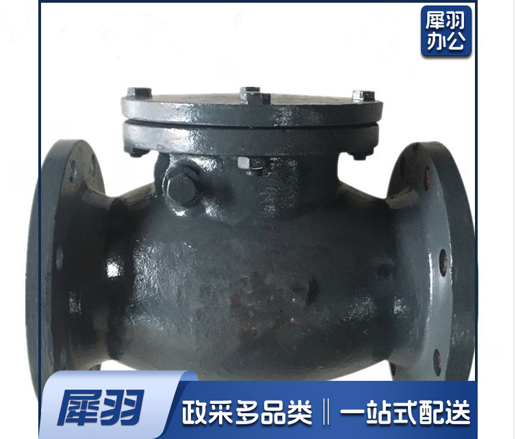 旋启法兰止回阀  DN50