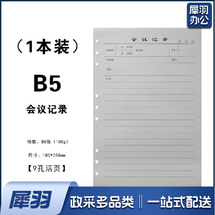 B5活页内芯 替芯 9孔会议记录本替芯  100张（200页）  货号：JC