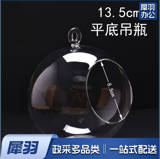 微景观生态瓶  平底吊瓶 收纳瓶 直径13.5cm