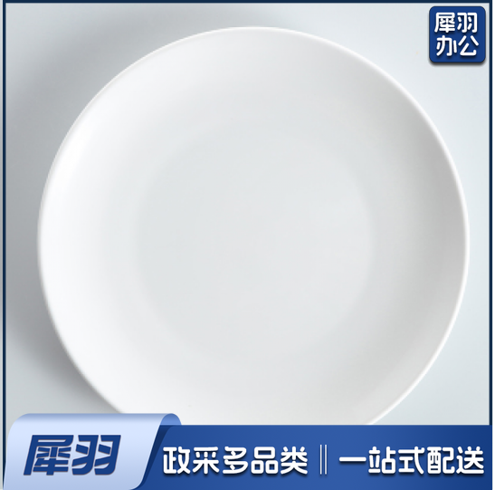 纯白陶瓷西餐盘 浅盘10英寸 圆盘 平盘 25.5cm  货号：TXH