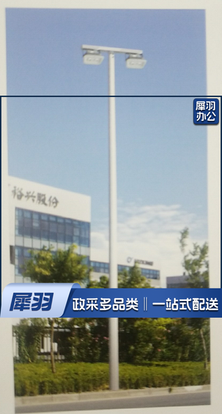LED路灯杆 6米  双头球场灯  不含灯具