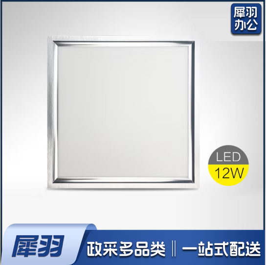 平板灯 300*300mm 12W   货号：LMN