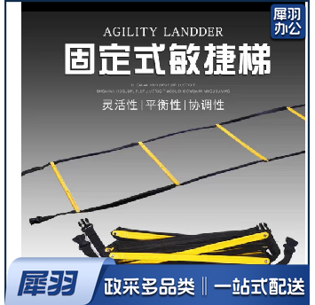 10格  训练敏捷梯