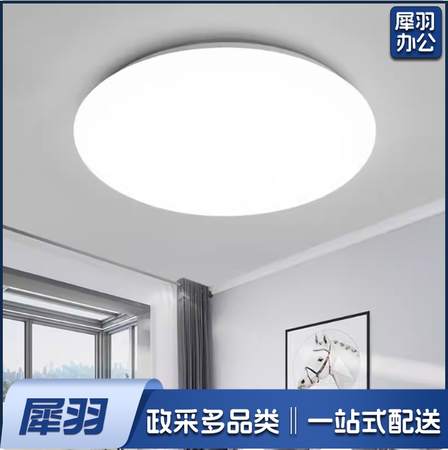  LED吸顶灯16W直径230mm 白光