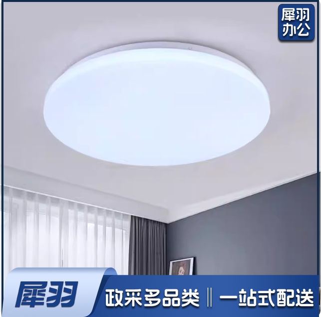 LED吸顶灯36W 楼道灯 直径350mm 白光