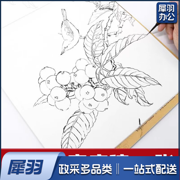 工笔画底稿白描花鸟 综合款底稿32张   货号：JC