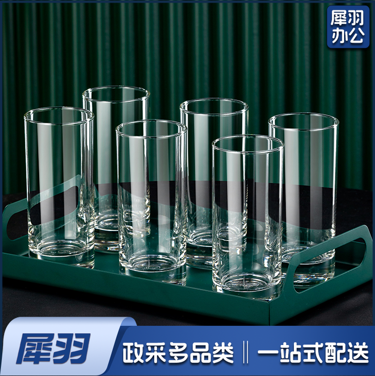 玻璃杯 家用透明喝水杯子 290ml