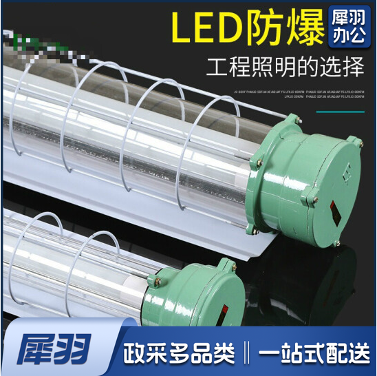 LED防爆灯  隔爆型  荧光灯管  2x16W  双灯管  1200mm