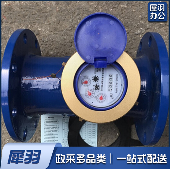 水表（数字直读） 含法兰垫 50
