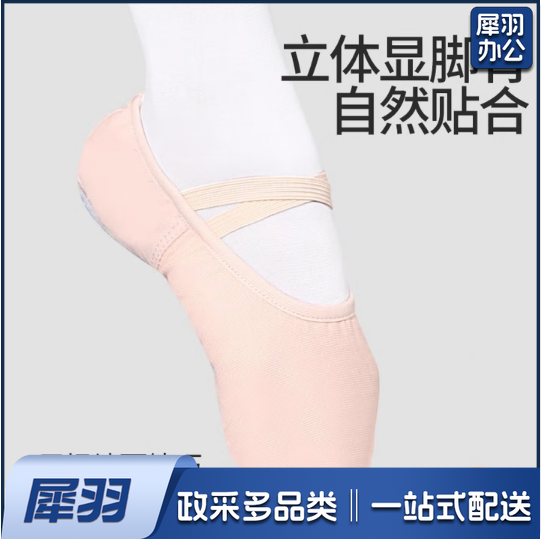 舞蹈软底鞋  练功鞋 形体鞋    免系肉色