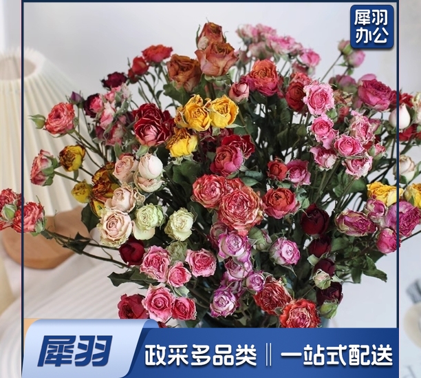天然真花家居插花装饰diy手工活动干花材软装蔷薇混搭40朵左右 送配草