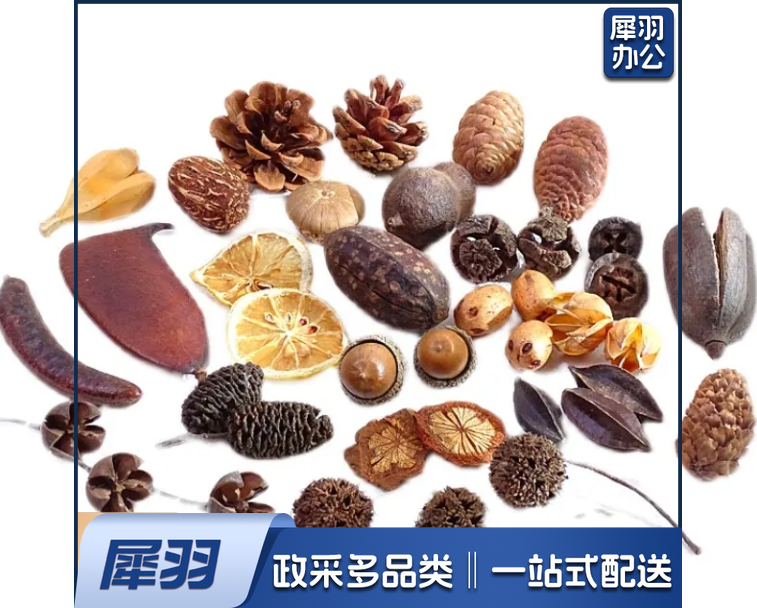干花干果组合套装幼儿园DIY手工材料包松果橡果干花摆件拍照道具混装100个