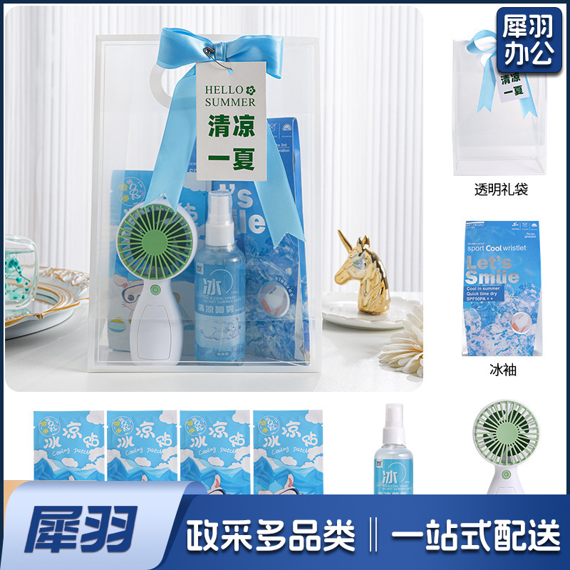 夏日防暑降温包套装礼品公司送员工福利夏季清凉礼包护士节(冰点套餐1（风扇+冰袖+清凉喷雾+冰凉贴+吊牌）)