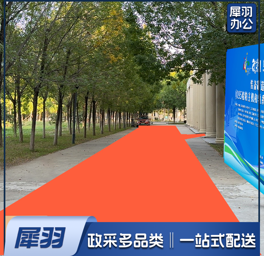 红地毯 3*50m 定制