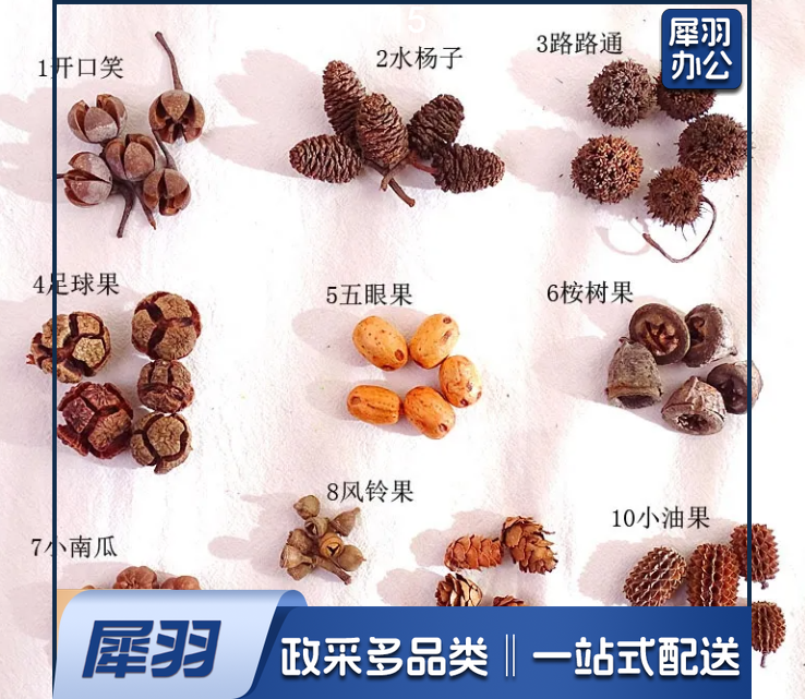 干花干果组合套装幼儿园DIY手工材料包松果橡果干花摆件拍照道具