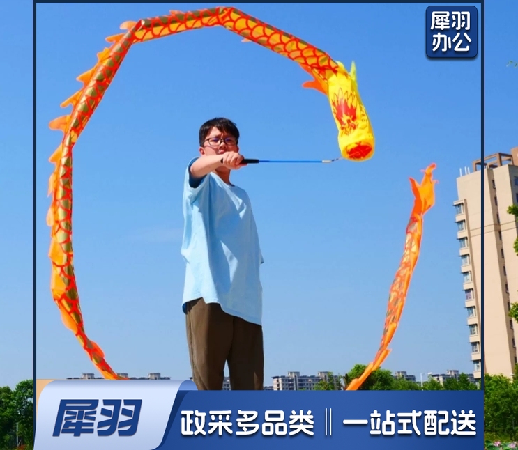 舞龙彩带健身甩甩龙身新款道具儿童广场舞带手耍龙空竹龙表演运动