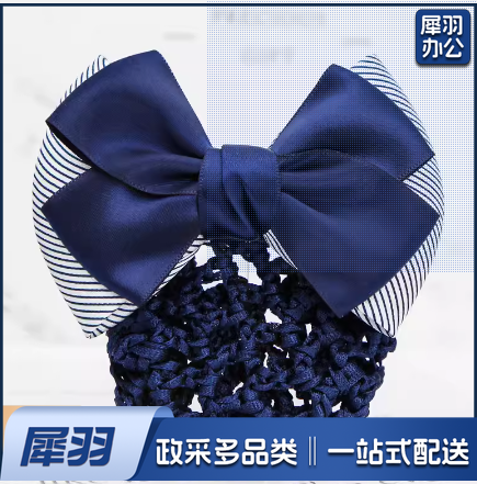 头花女职业盘发网兜 条纹二结蓝