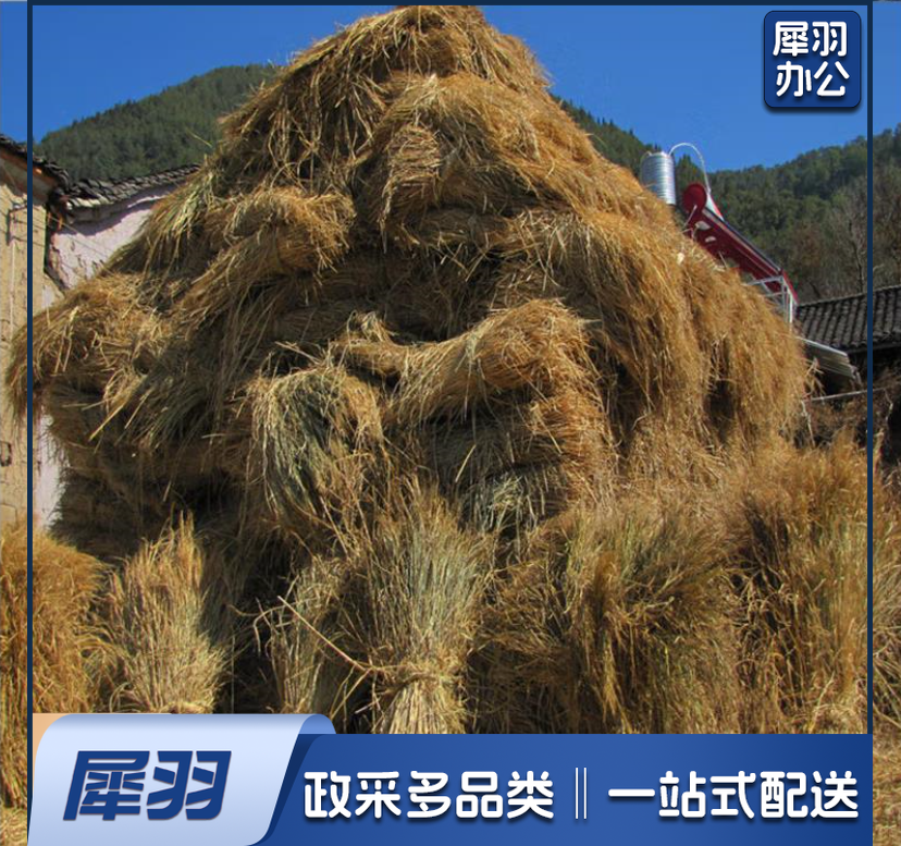 草绳 稻草 草帘大棚保温草帘 干稻草 (1000斤起送下单前请来电咨询)