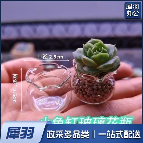 5e06a04e-7d88-4698-86f9-1b5fe543f731.jpe