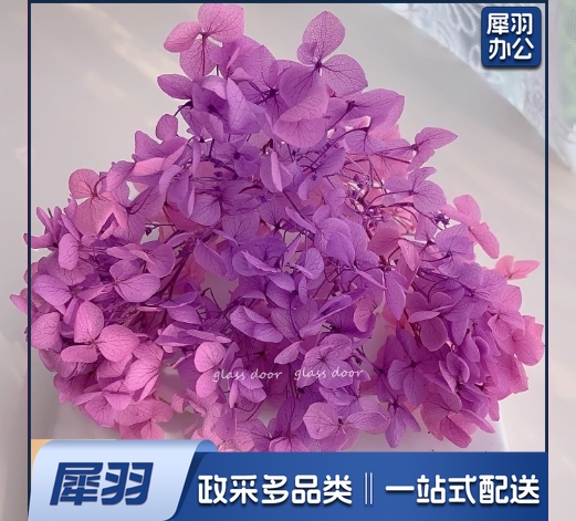 永生花绣球渐变色手工diy干花婚鞋贴脸玻璃罩花器团建活动花艺课安娜粉紫渐变5克