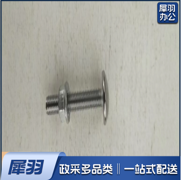 FST-01 不锈钢螺丝
