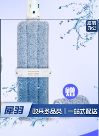 免手洗平板拖把 木地板瓷砖干湿两用 共2块原装拖布